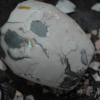 Raku nu . Stage poterie en Ardèche